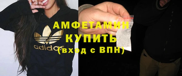 амф Бородино