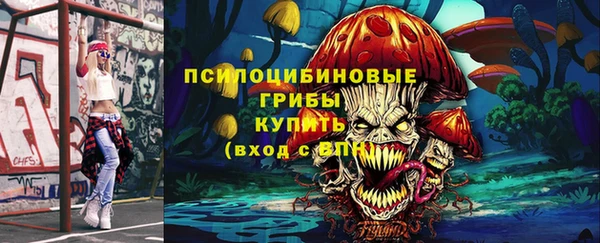 амф Бородино