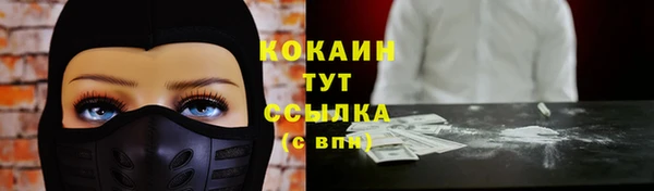 амф Бородино