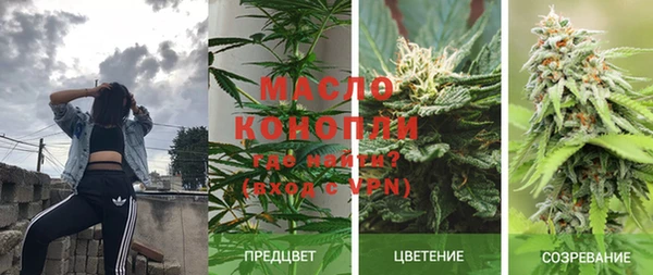 амф Бородино