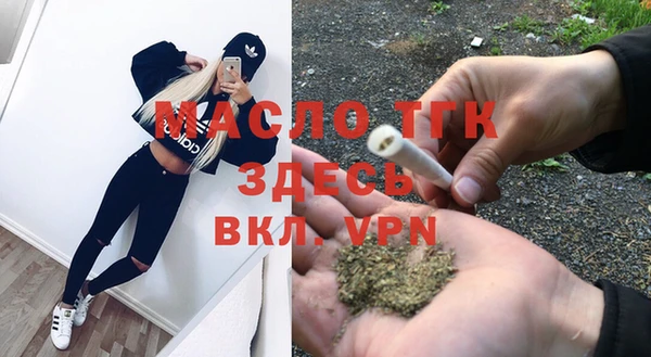 амф Бородино