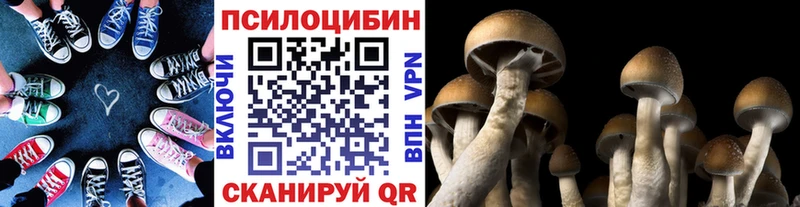 Псилоцибиновые грибы мухоморы  Пойковский 